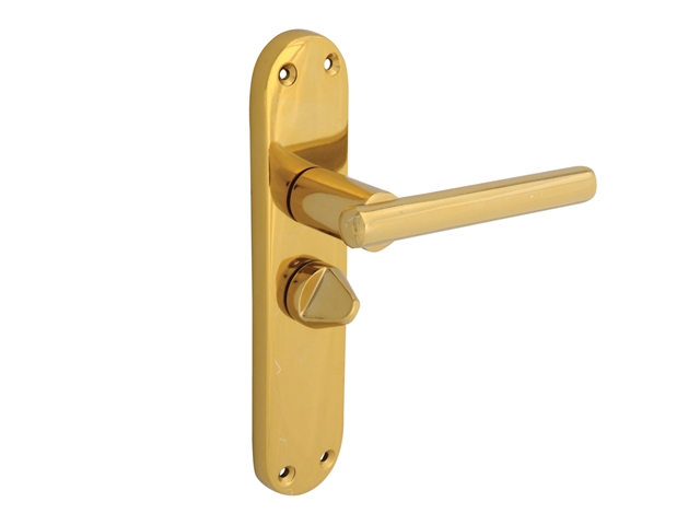 Forge Backplate Handle Privacy - Modular Brass Finish