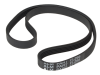 ALM Manufacturing FL266 Poly V Belt to Suit Flymo 1