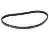 ALM Manufacturing FL267 Poly V Belt to Suit Flymo 1