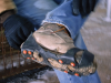 Ergodyne Trex Anti Slip Ice Traction Grippers Shoe s 4.1/2 - 7.1/2 (37-41) 5