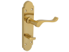 Forge Backplate Handle Bathroom - Gable Brass Finish 1