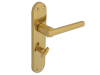 Forge Backplate Handle Bathroom - Modular Brass Finish 1