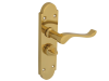 Forge Backplate Handle Privacy - Gable Brass Finish 1