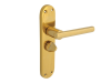 Forge Backplate Handle Privacy - Modular Brass Finish 1