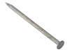 Forgefix Round Head Nail Galvanised Finish 100mm Bag of 2.5kg 1