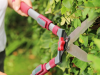 Kent and Stowe Telescopic Hedge Shear 6