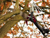 Kent and Stowe Telescopic Tree Pruner 3m 3