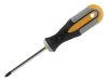 Roughneck Screwdriver Pozidriv PZ1 x 75mm 1