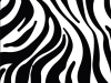 Shurtape Duck® Tape 48mm x 9.1m Zebra Crossing 3