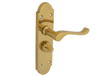Forge Backplate Handle Privacy - Gable Brass Finish